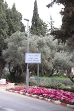 A street sign reads 'Yemin Moshe' in English, Hebrew, and Arabic, surrounded by lush greenery and tall trees. Below the sign, vibrant pink and red flowers are planted alongside the edge of the road. A lamppost stands next to the sign, and a metal fence is visible in the background.