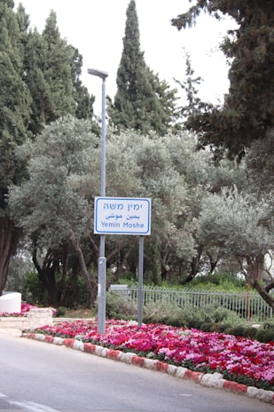 A street sign reads 'Yemin Moshe' in English, Hebrew, and Arabic, surrounded by lush greenery and tall trees. Below the sign, vibrant pink and red flowers are planted alongside the edge of the road. A lamppost stands next to the sign, and a metal fence is visible in the background.