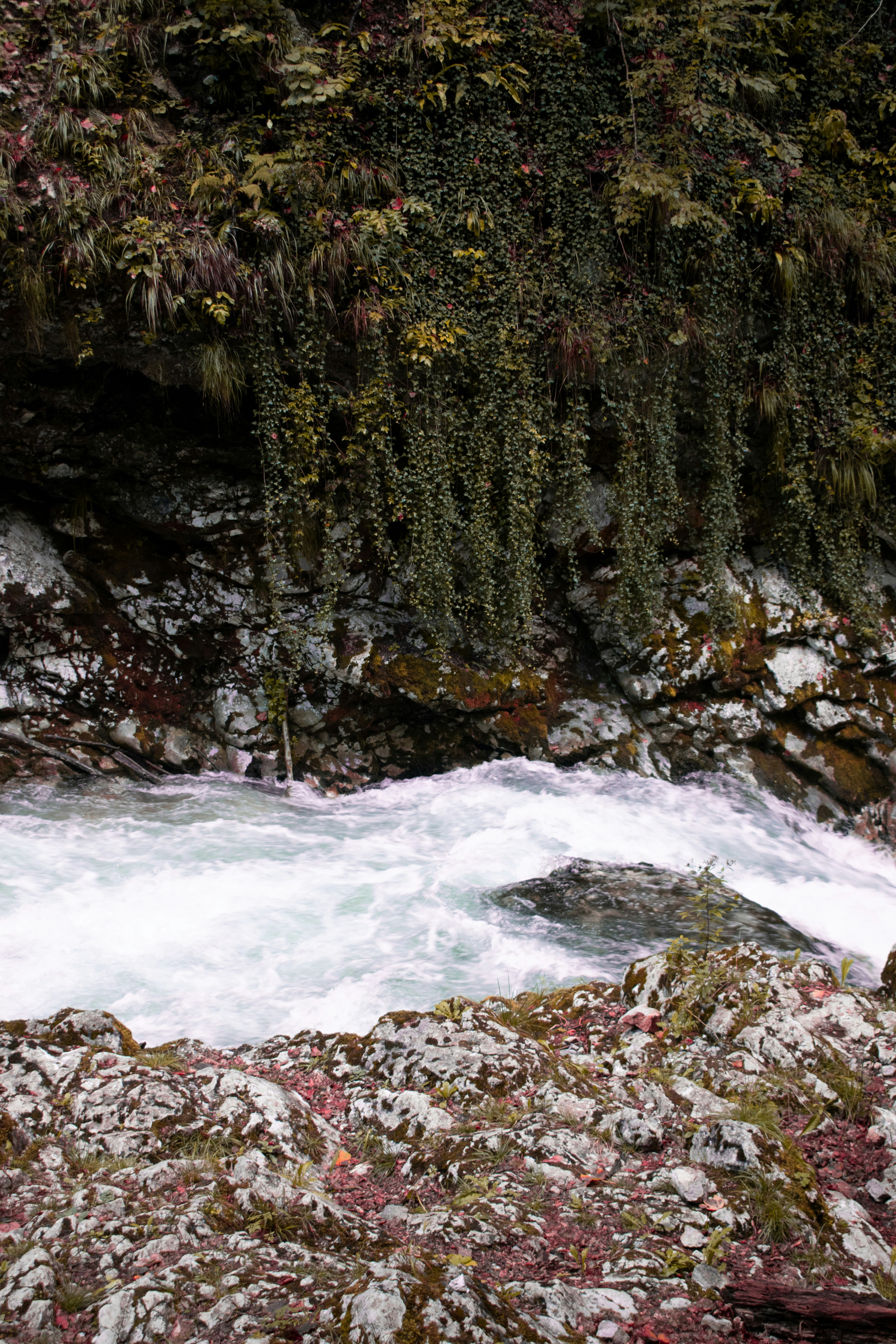 Photo by michalhlavac