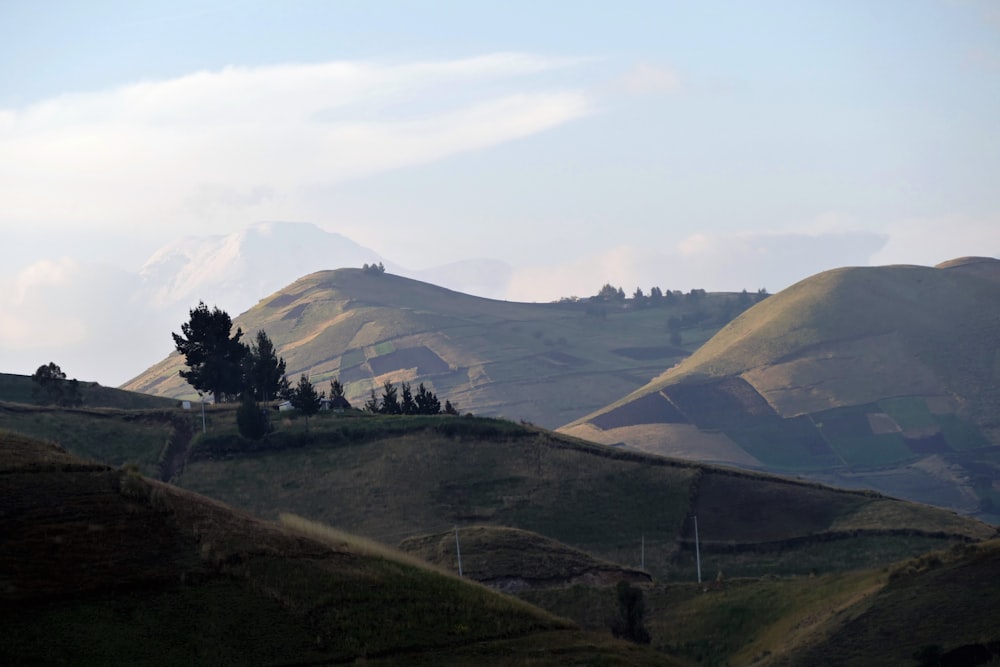 a hill with a tree on top of it