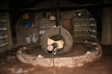 An interior setting featuring a large, stone grinding wheel in the center of a circular pit. Surrounding the wheel are rustic stone walls lined with shelves holding numerous bottles. Aesthetic elements like bags and baskets add to the atmosphere, suggesting possible storage or production purposes. The lighting is dim, emphasizing the rough textures of the stone and walls.
