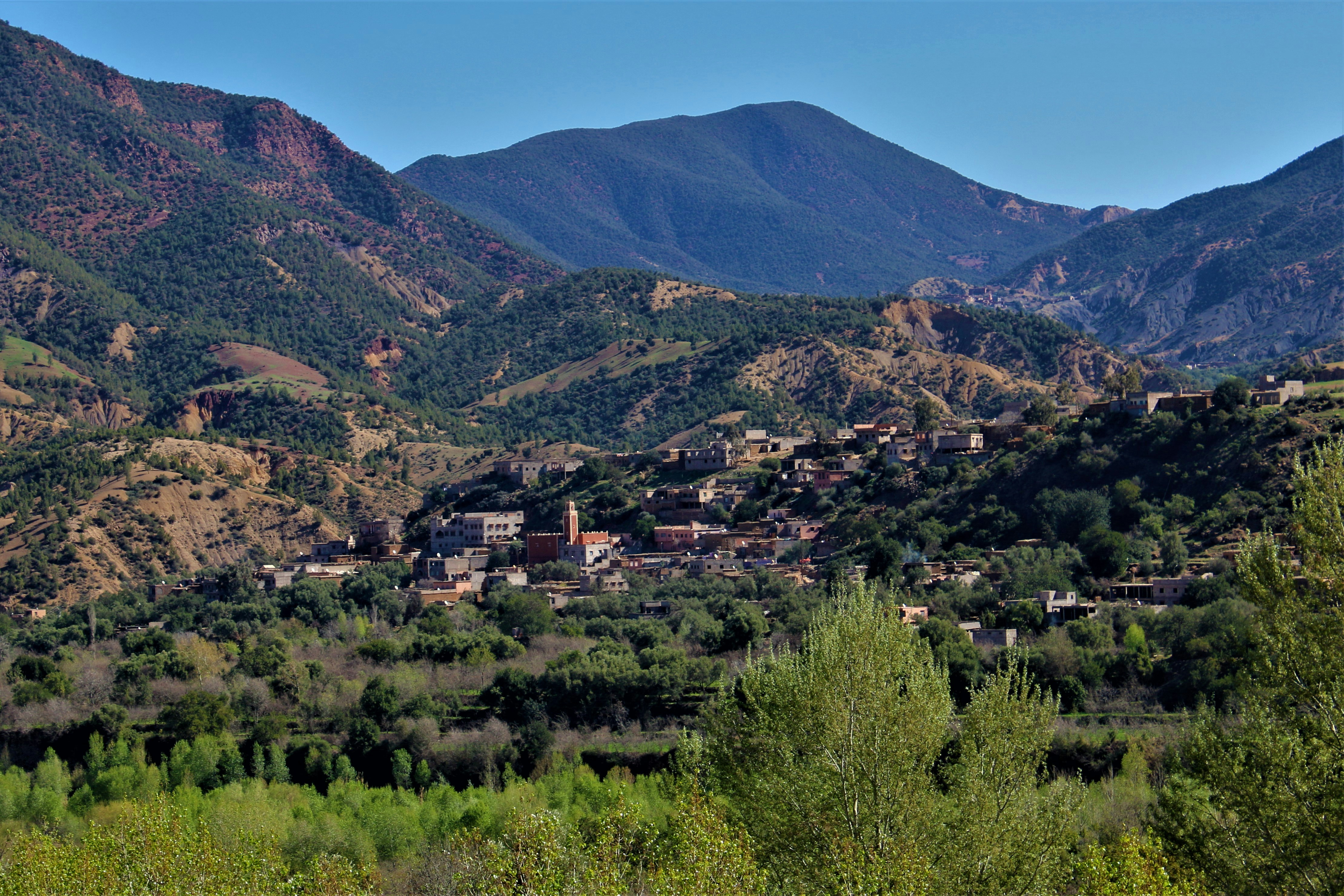 Broadmoor Colorado Springs