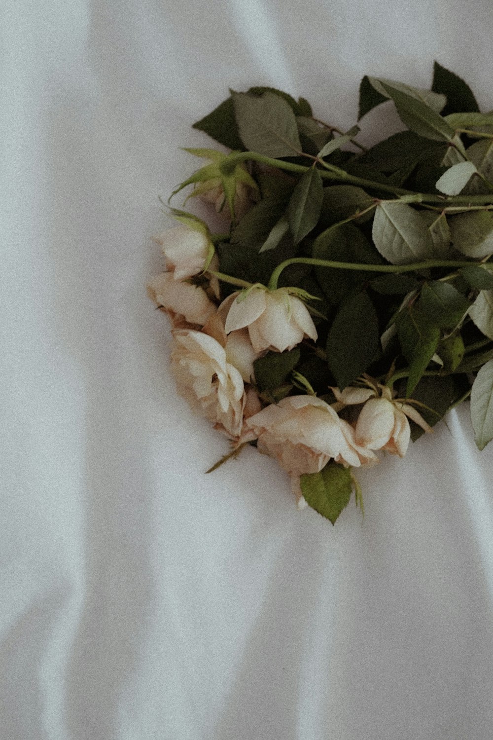 un mazzo di fiori posati su un lenzuolo bianco