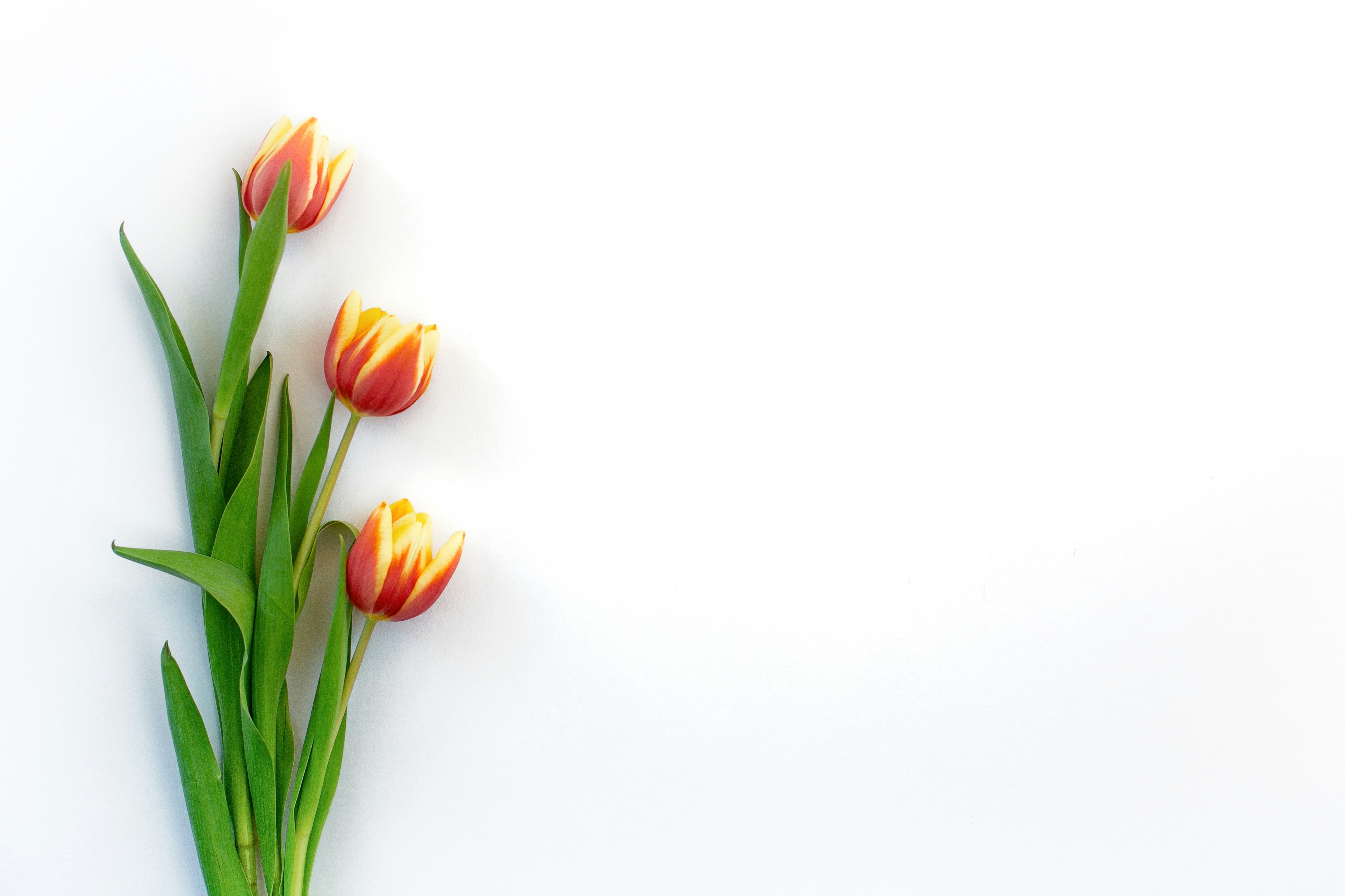 Photo by nataliekinnear