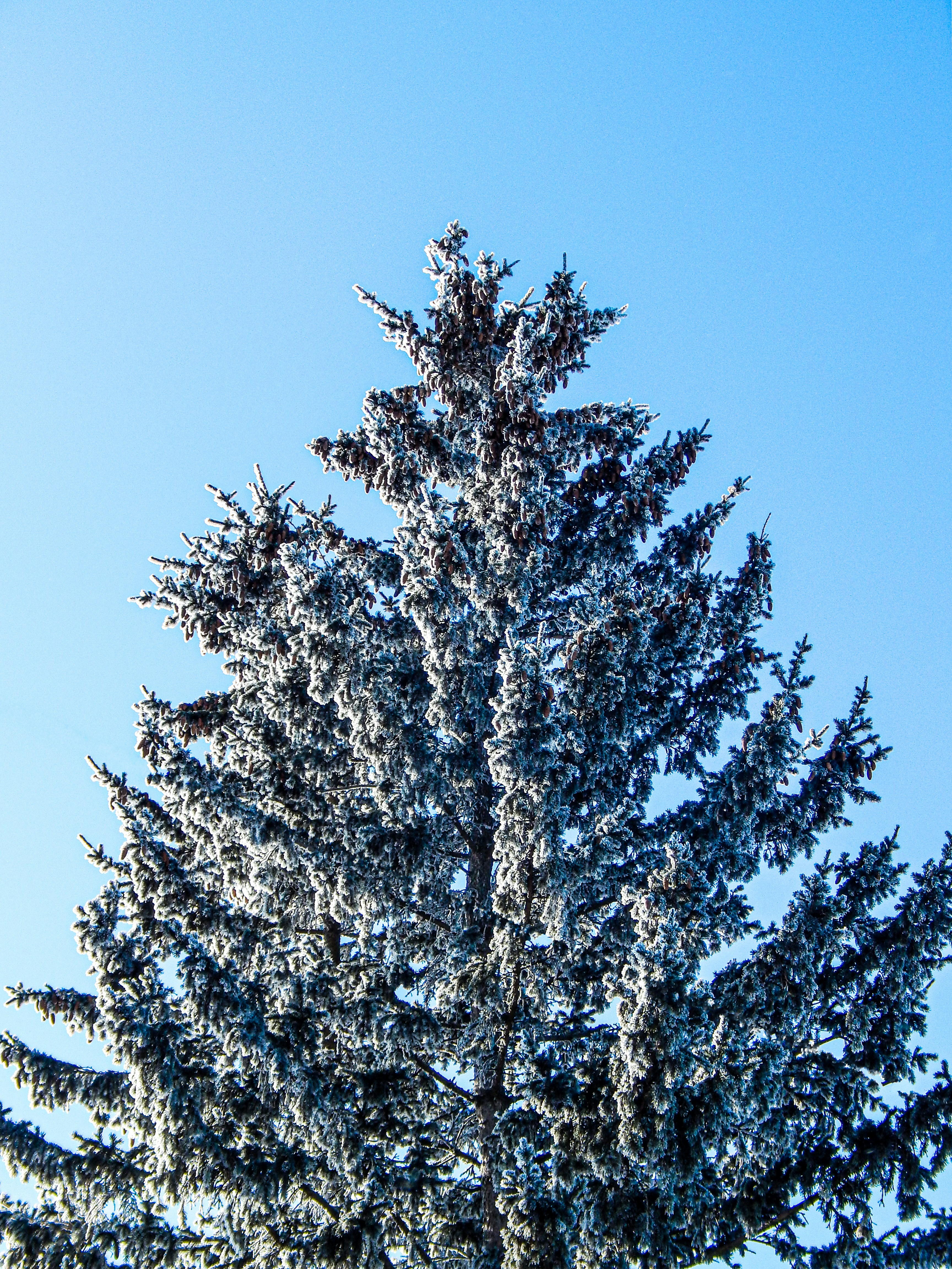 Photo by nothingsospecial