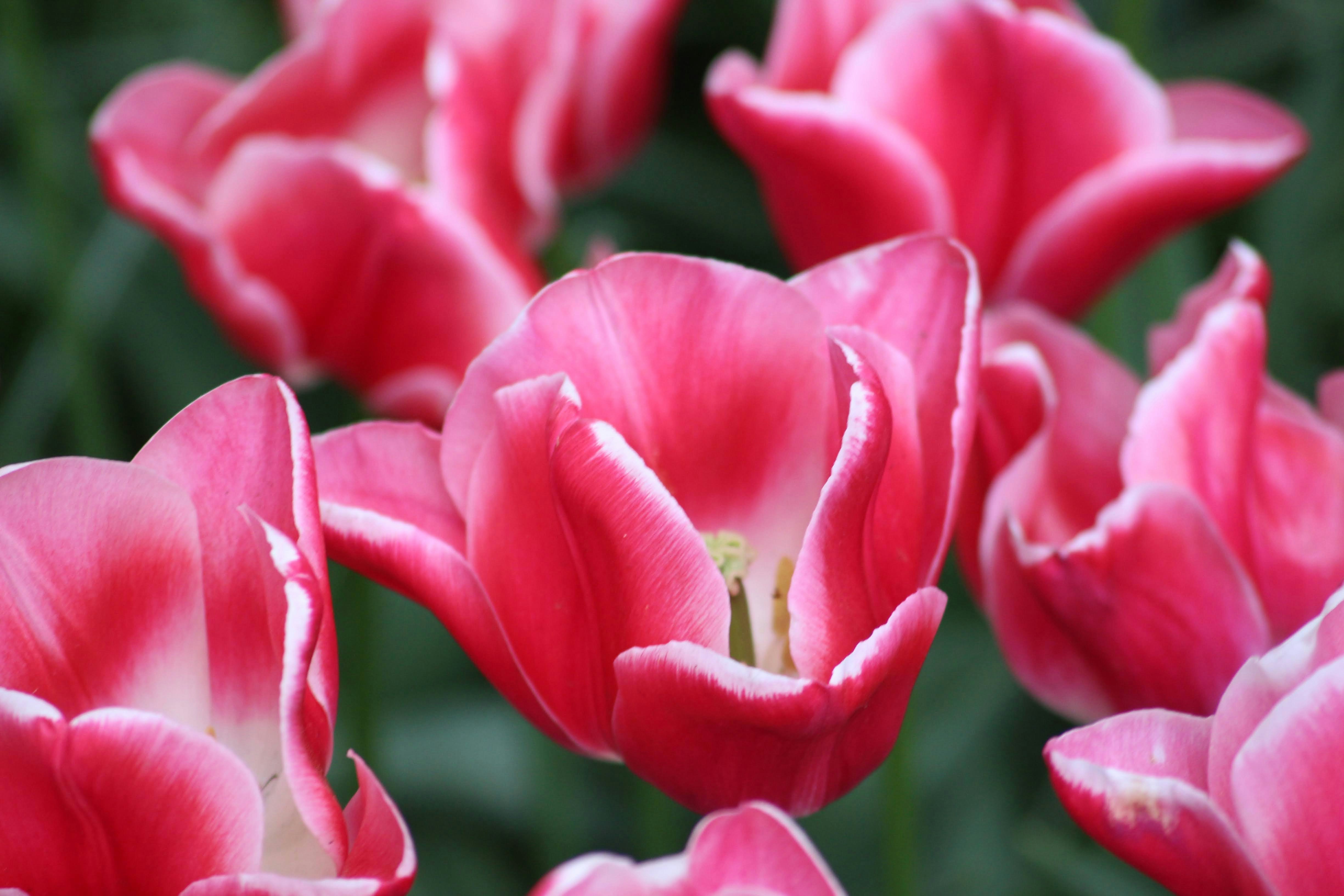 Photo by vanelkphotography