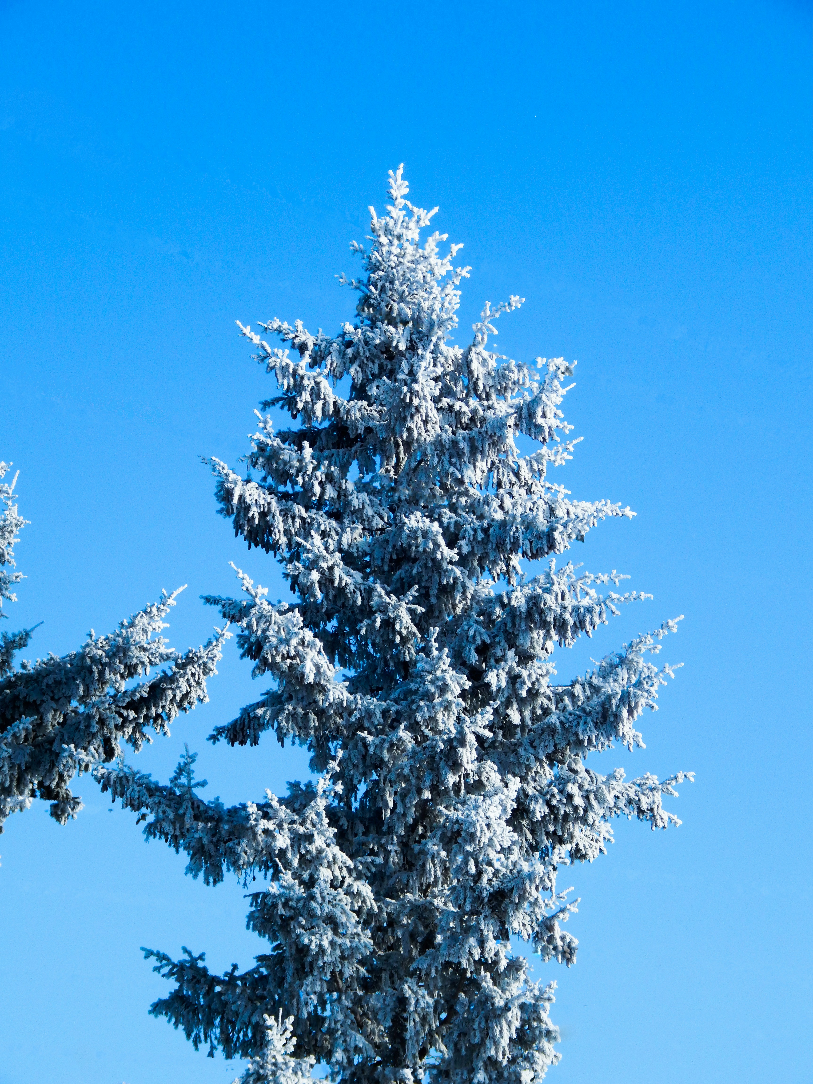 Photo by nothingsospecial