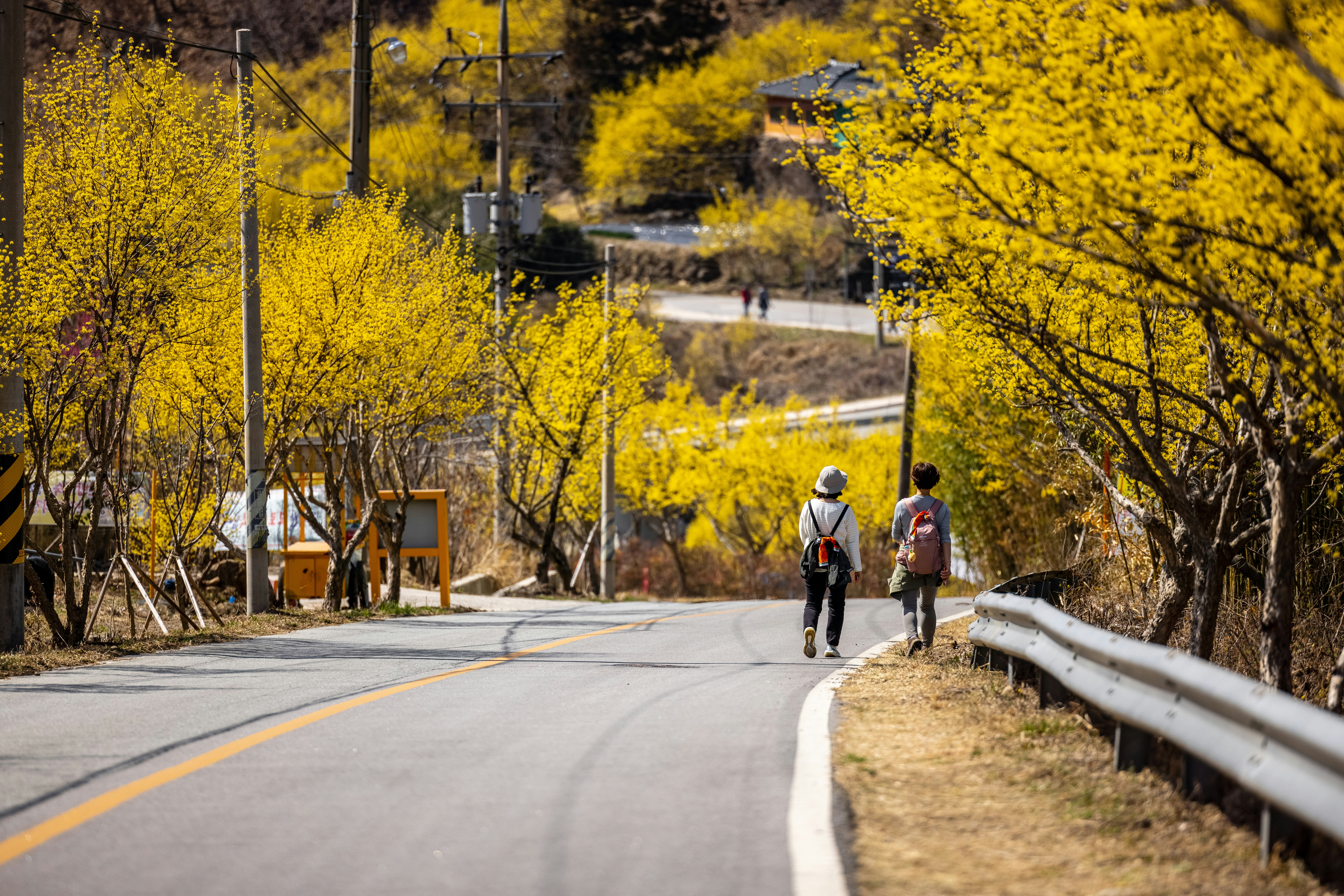 a couple of people walking down a road