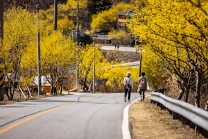 When is the Gurye Sansuyu Festival held?