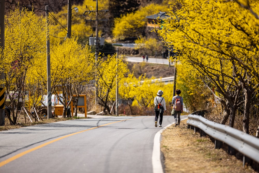 a couple of people walking down a road