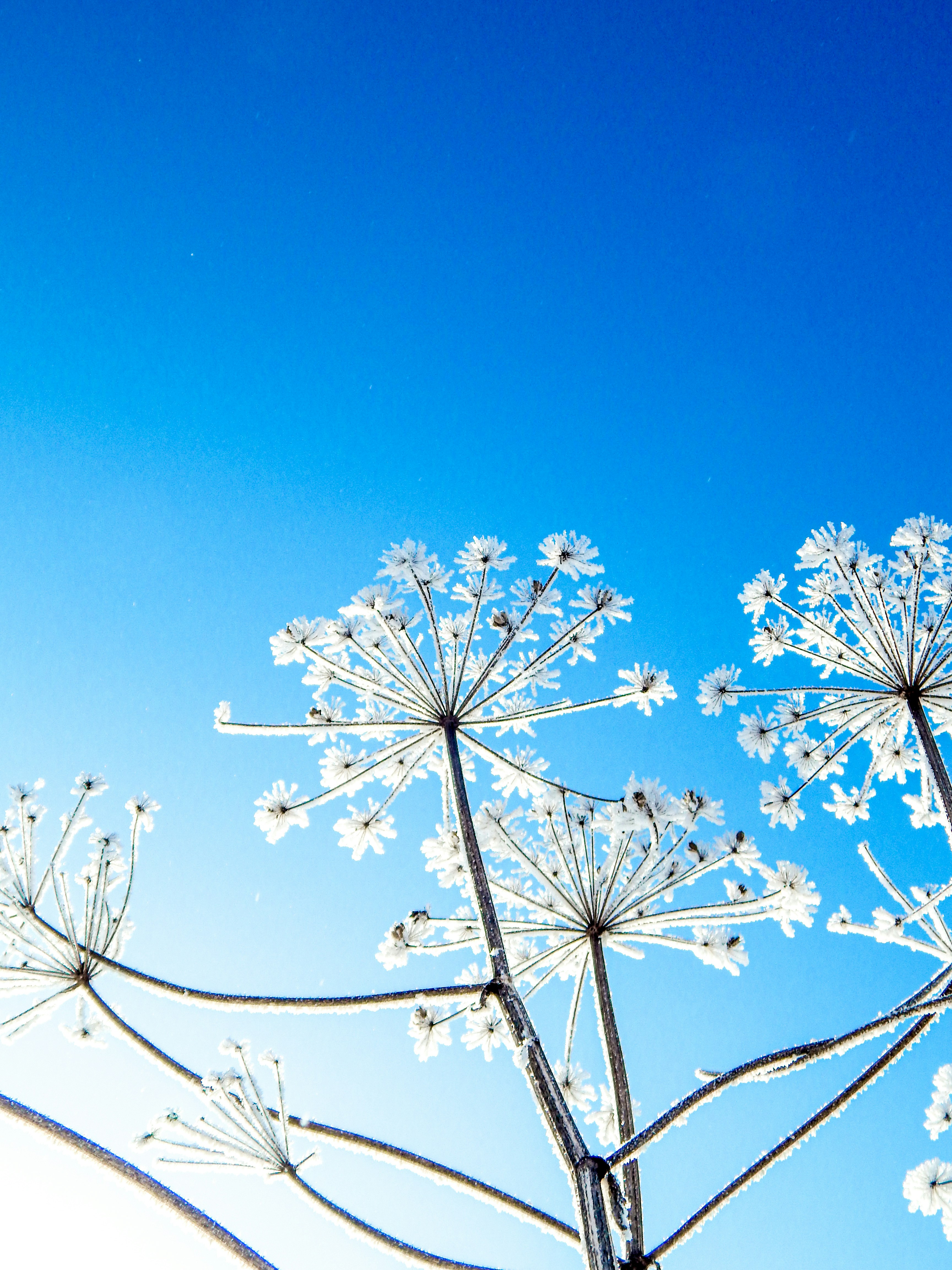 Photo by nothingsospecial