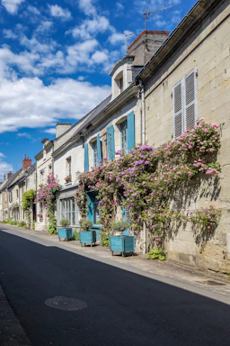 Charming village street in La Roche-Guyon with historic stone houses and blooming flowers.