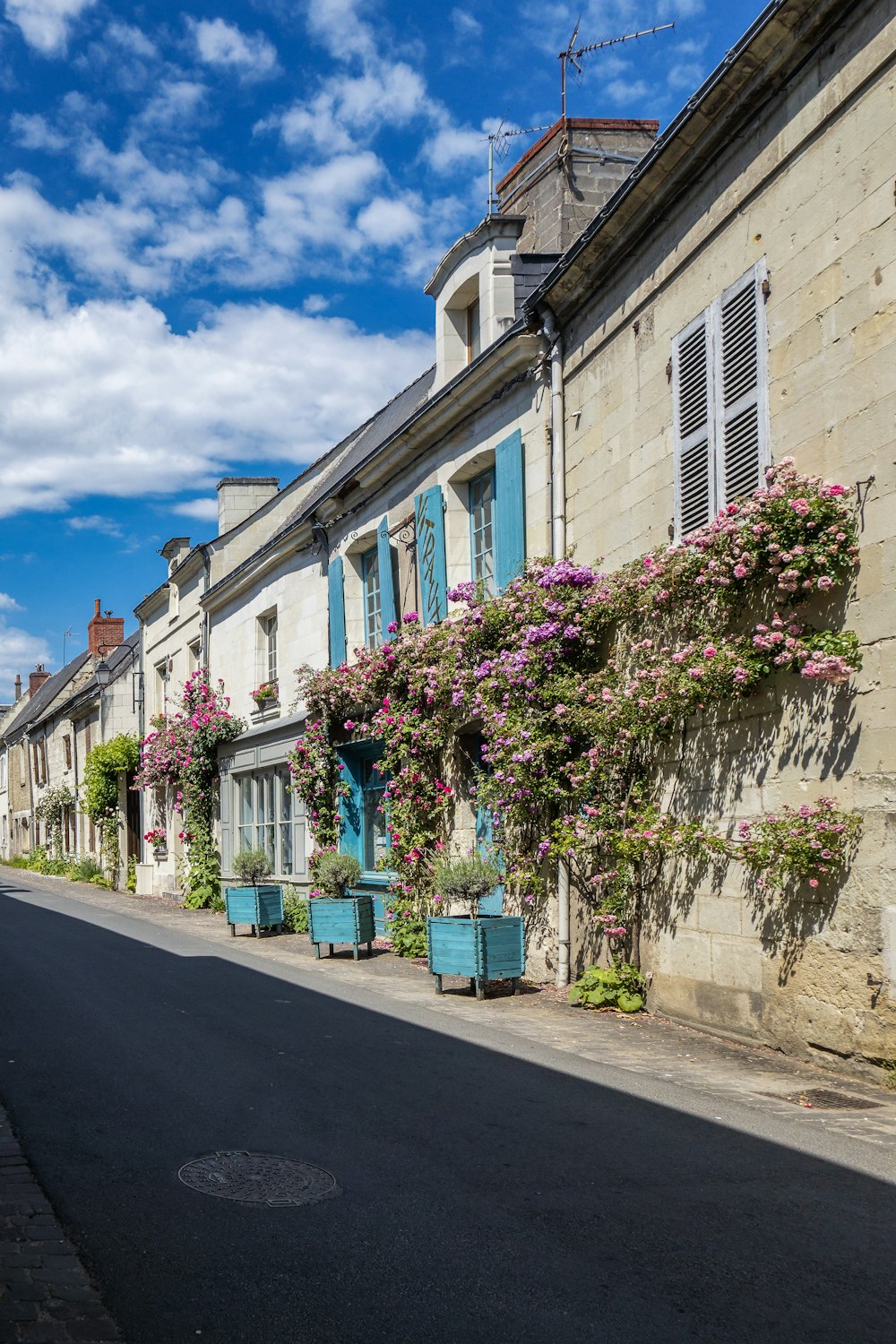 a row of houses with blue shutters and pink flowers
