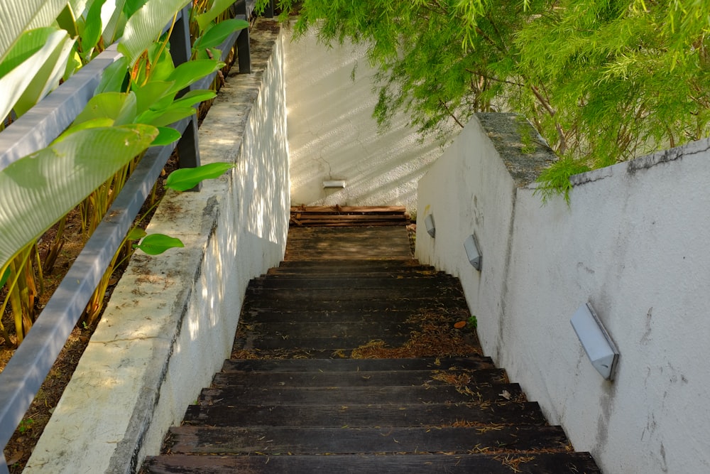 a set of stairs leading up to a house