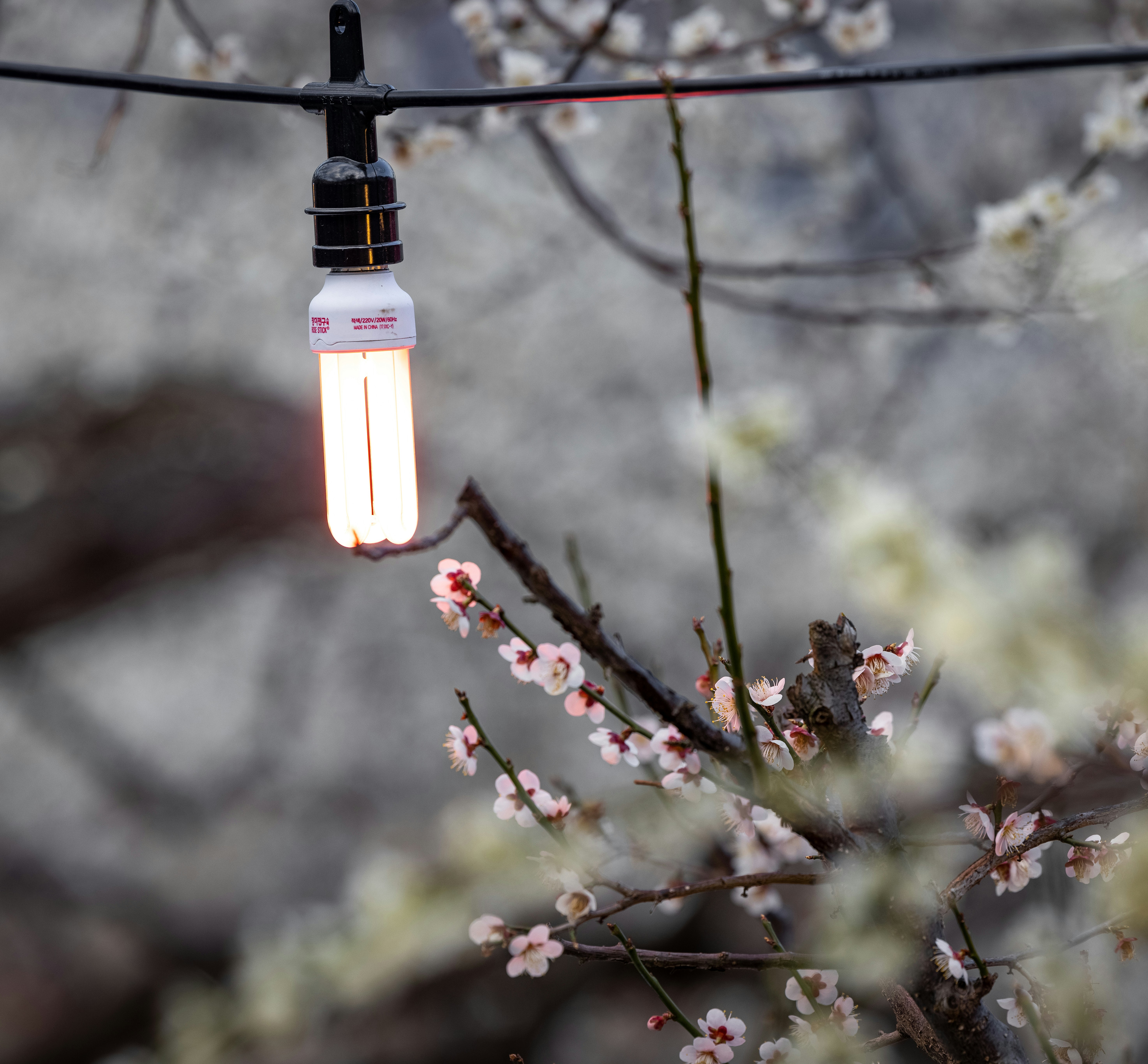 a light bulb hanging from a clothes line