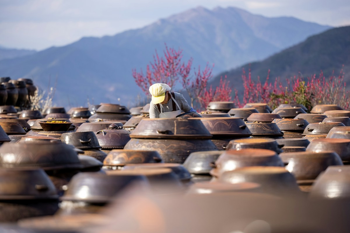 Traditionelle koreanische Tongefässe (Onggi) zur Fermentation im Freien