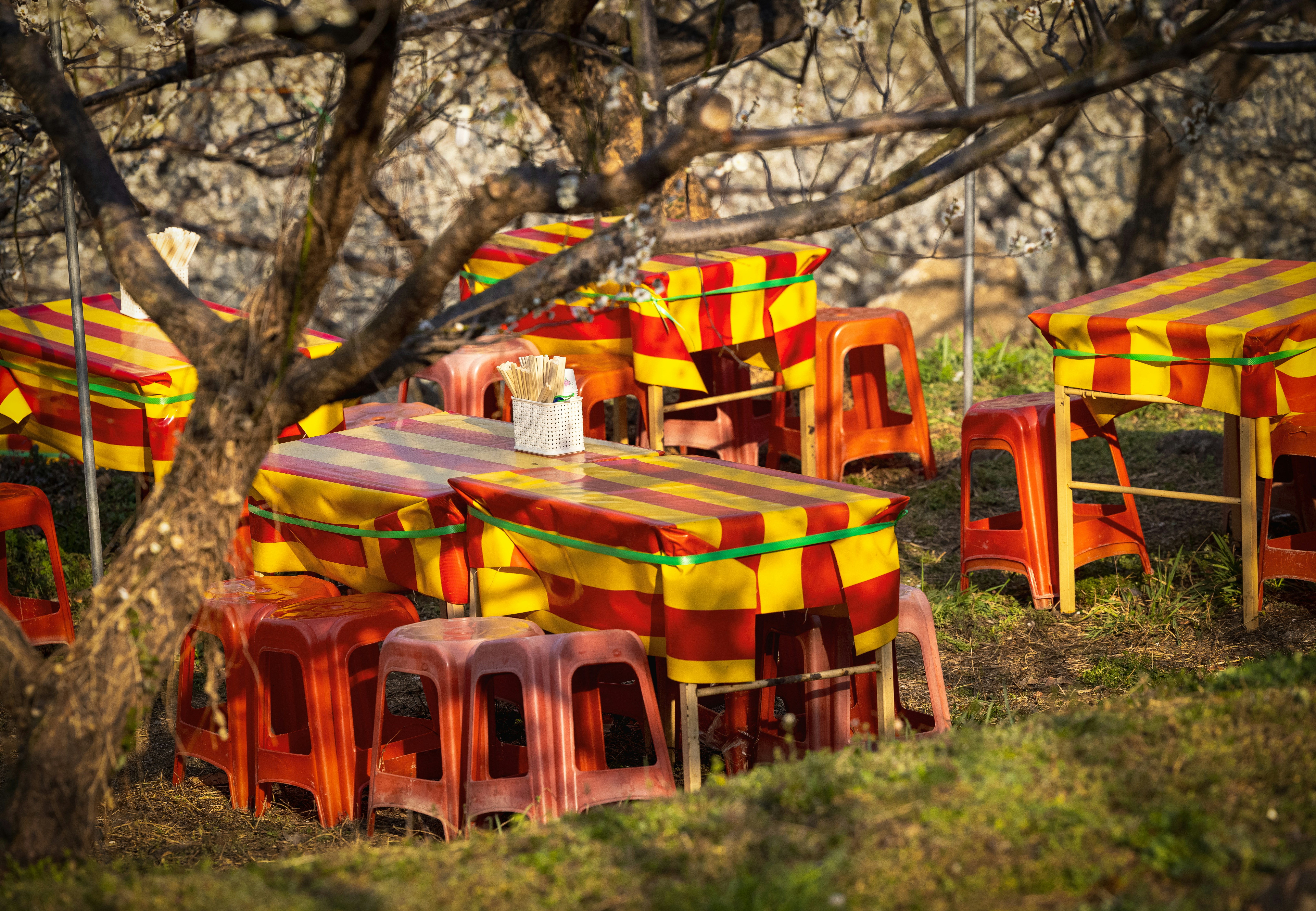 a bunch of colorful tables and chairs in the grass