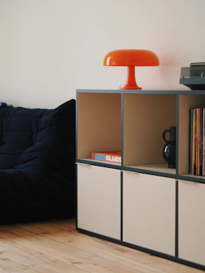 a living room with a couch and a book shelf