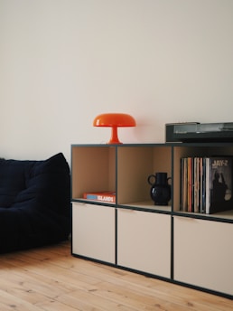 a living room with a couch and a book shelf