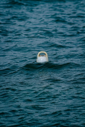 Ocean wave energy device bobbing gently on the water surface during testing