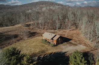an aerial view of a cabin in the woods