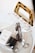A clear, transparent bag with tortoiseshell handles and gold studs contains a pair of sunglasses, a black case, and an Acne Studios label. The bag rests on a white surface along with two pieces of jewelry visible near the bottom.