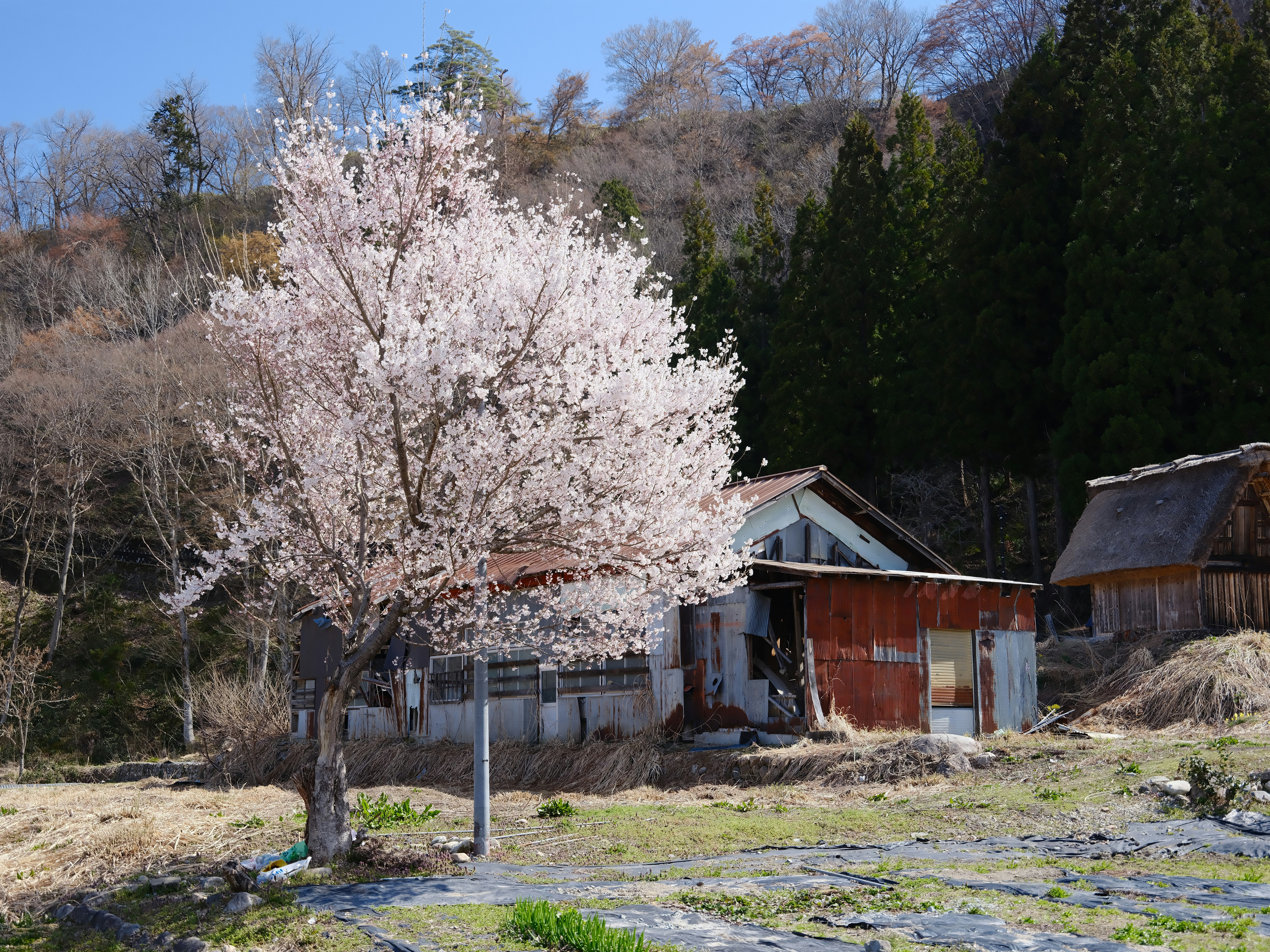 Kusatsu Onsen village in winter