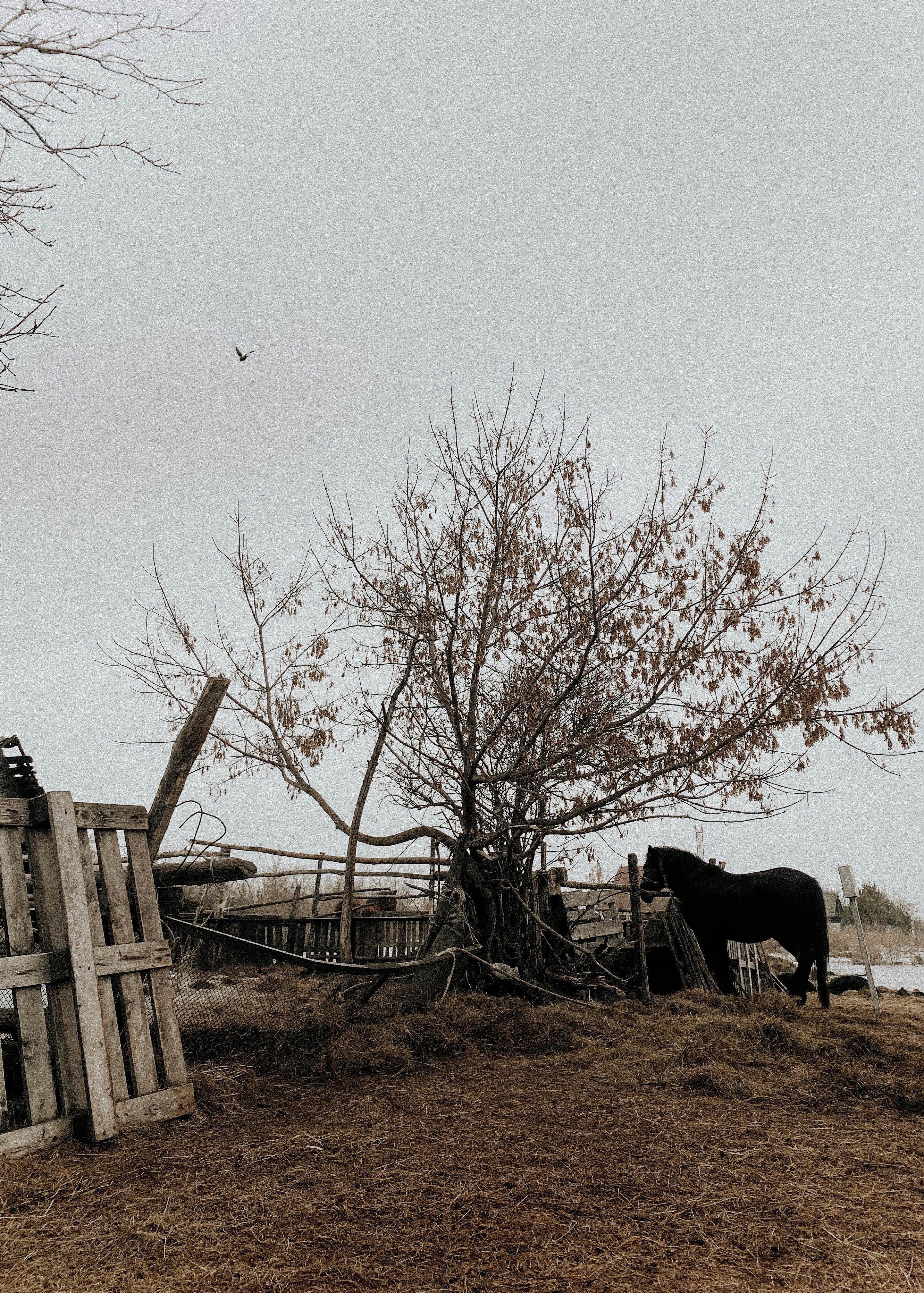 Daria Ziurnina (@sensphoto) | Unsplash Photo Community