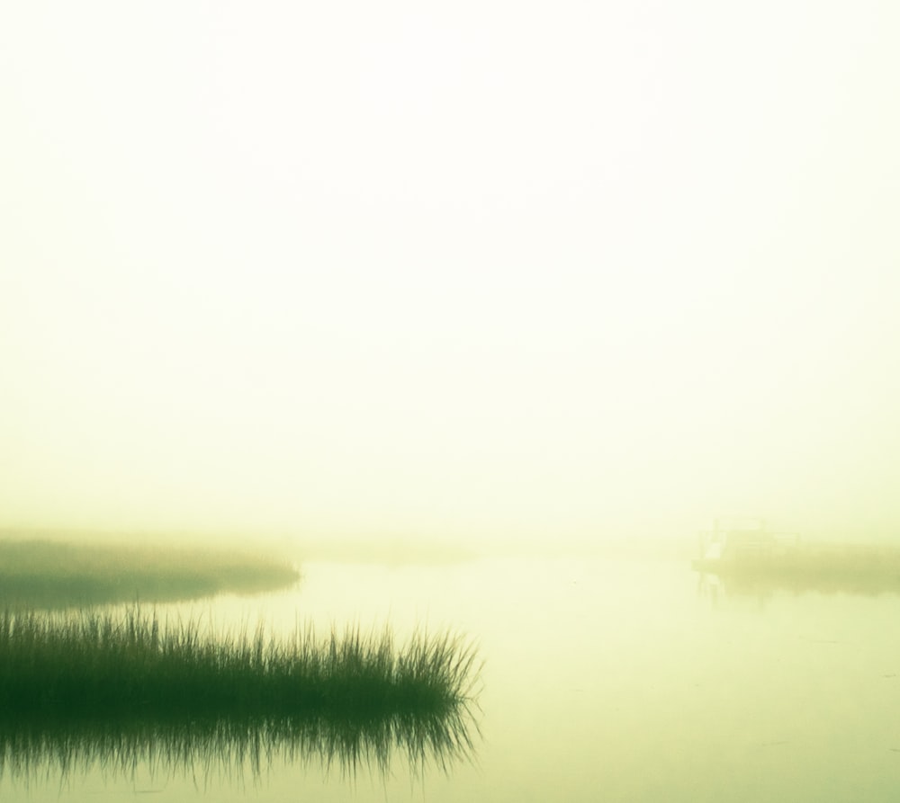 a body of water surrounded by grass and fog