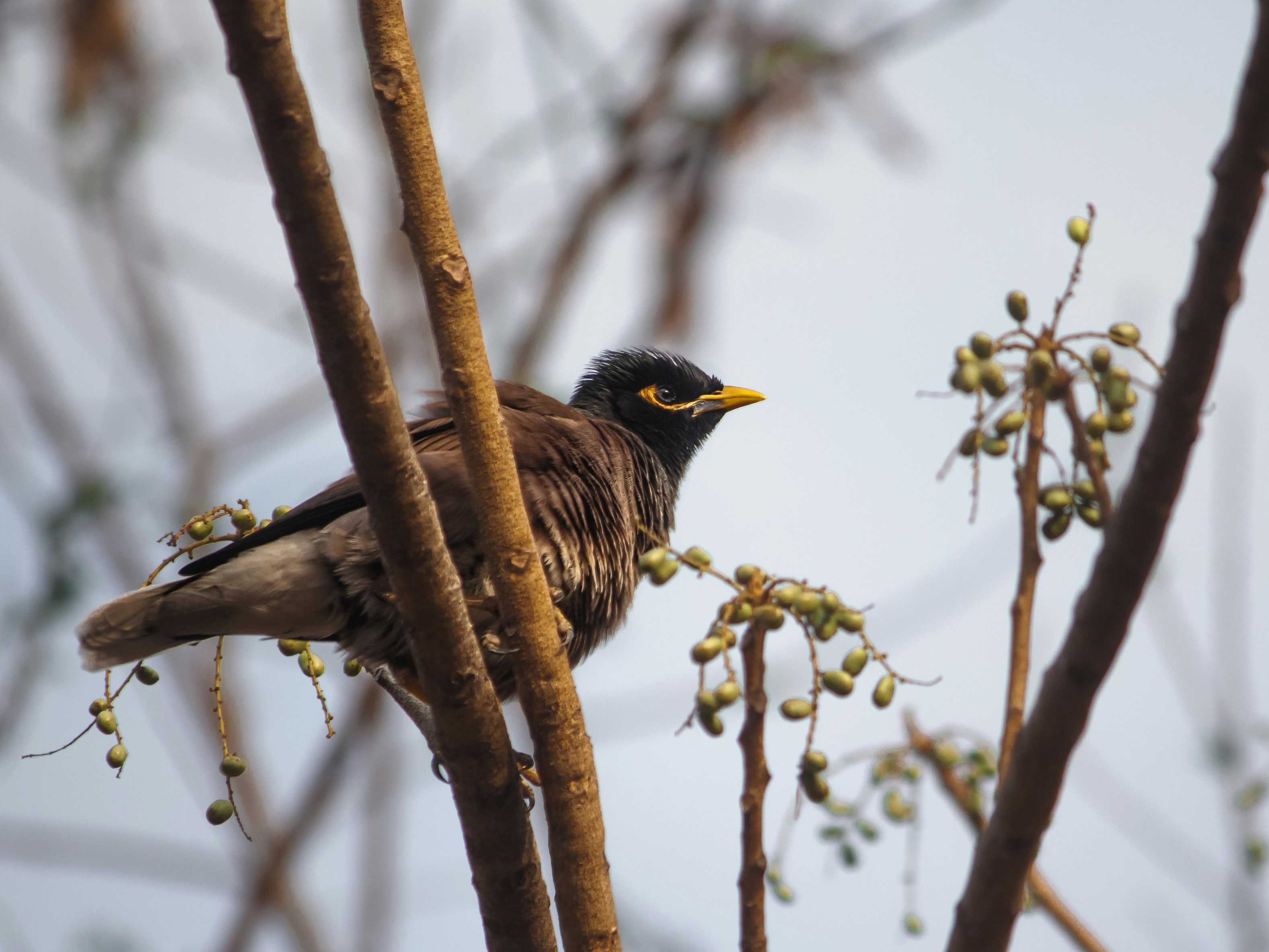 Photo by harshit_suryawanshi