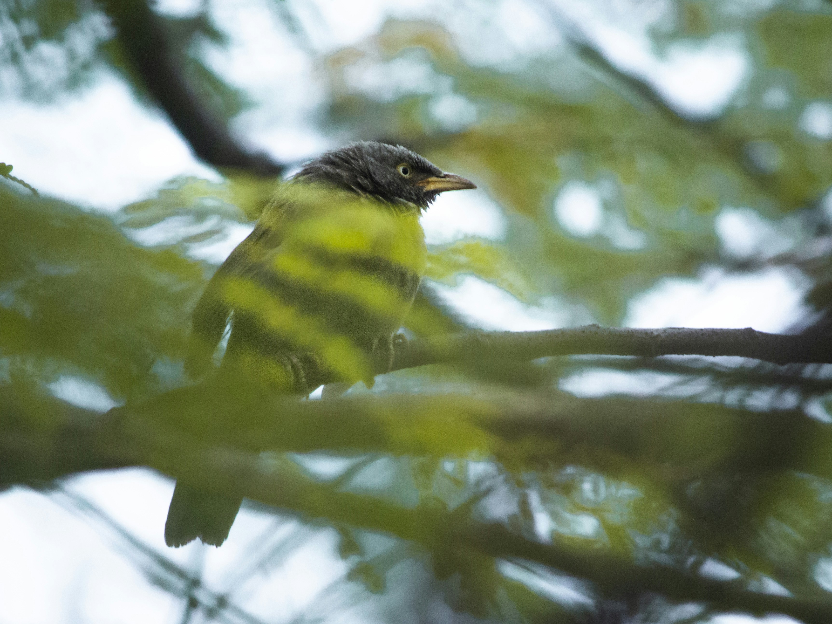 Photo by harshit_suryawanshi