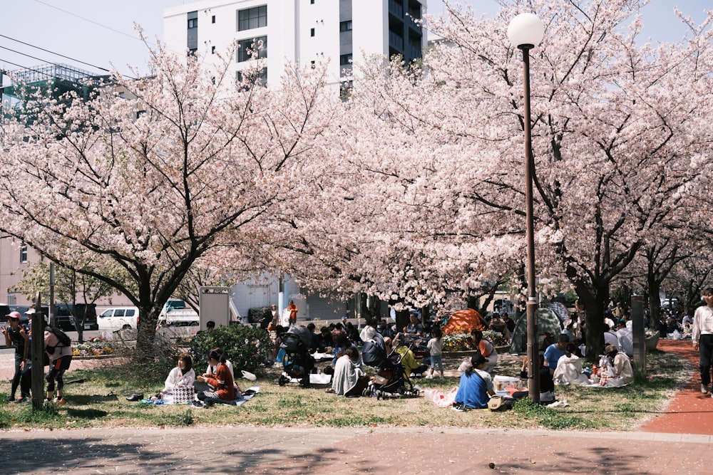 a group of people sitting on the grass under a tree