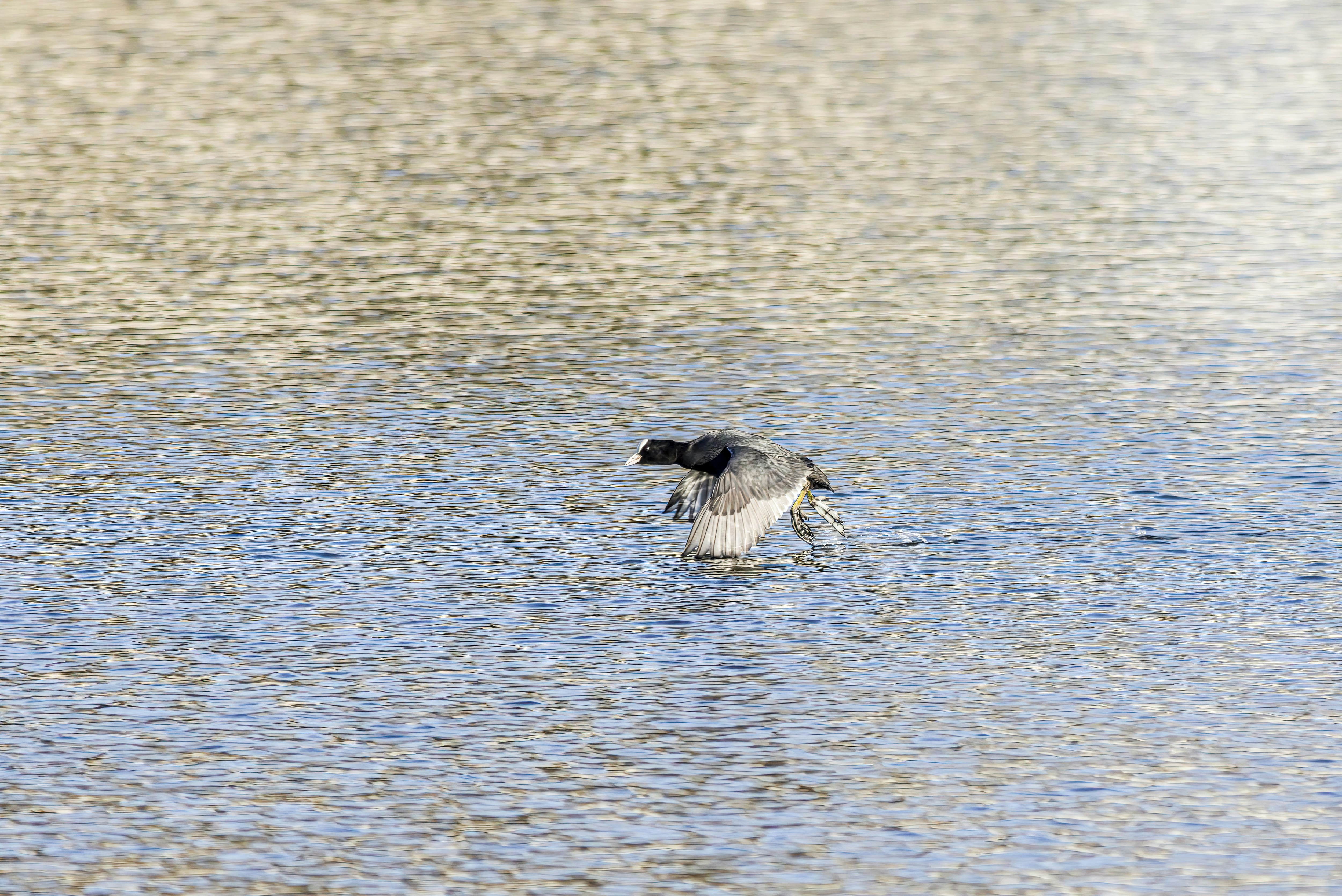 Photo by erik_karits