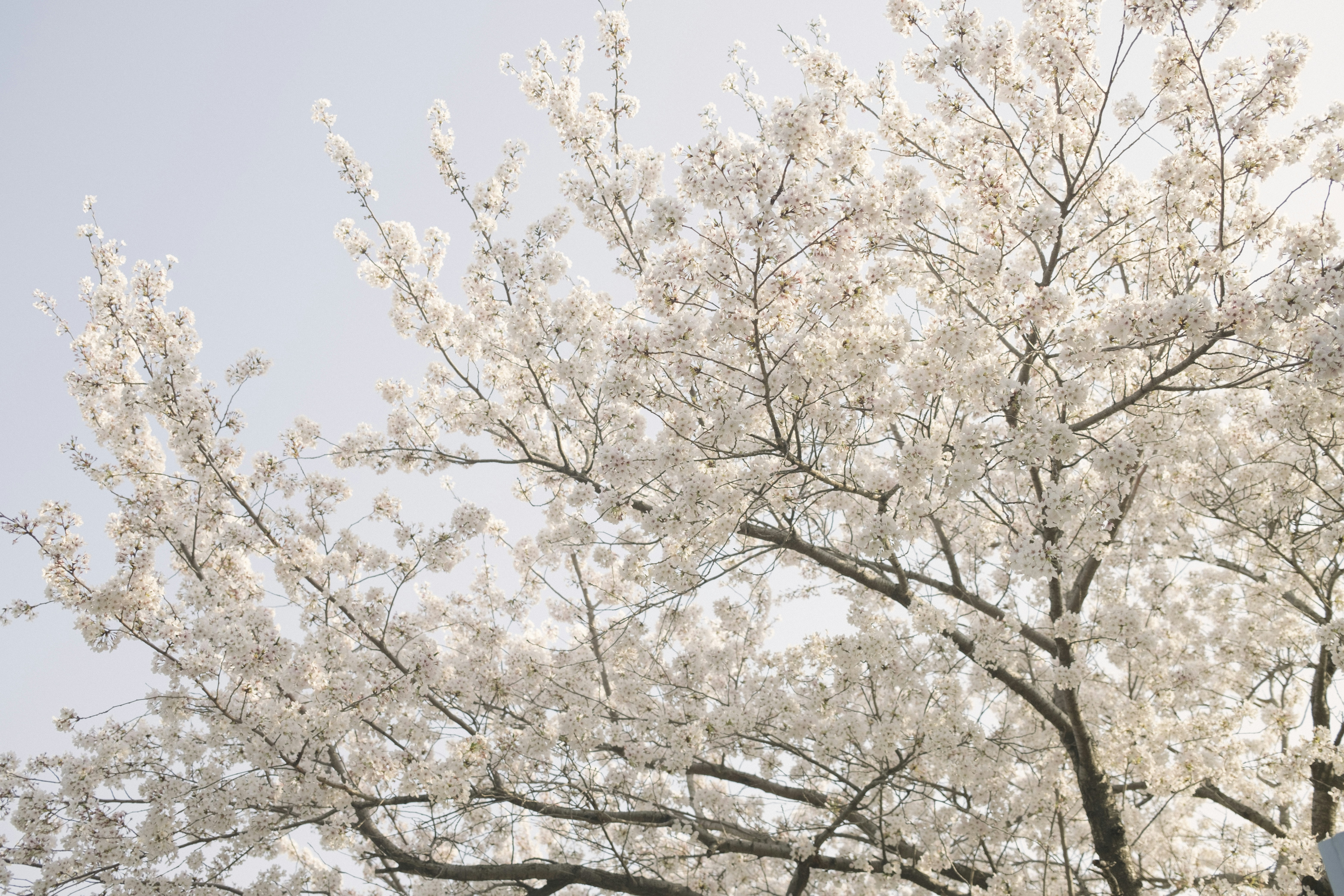Photo by hanbum
