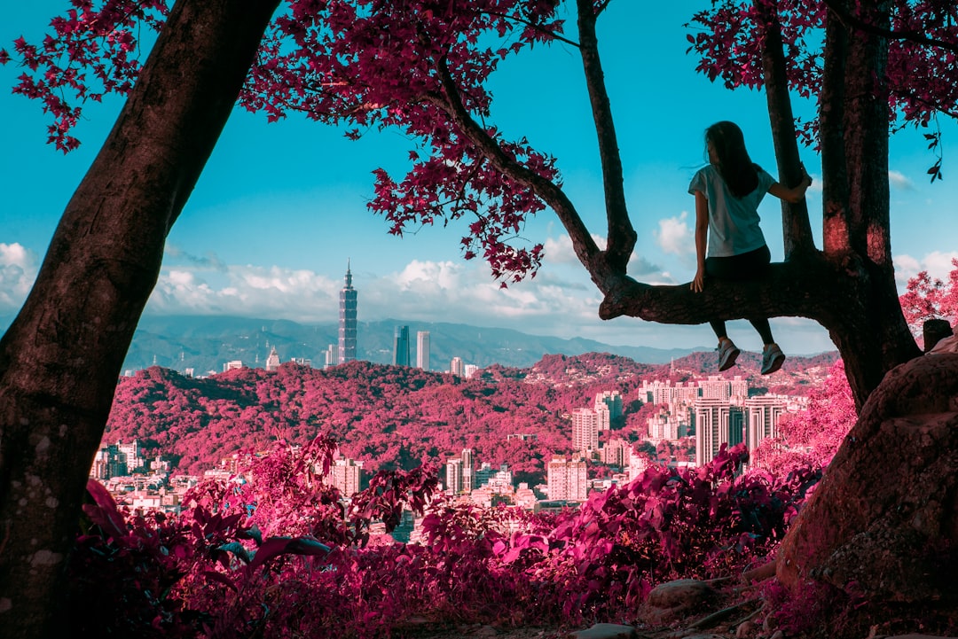 a person sitting on a tree branch with a city in the background