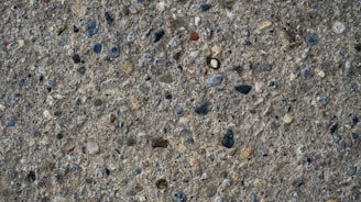 a close up of rocks and gravel on a surface