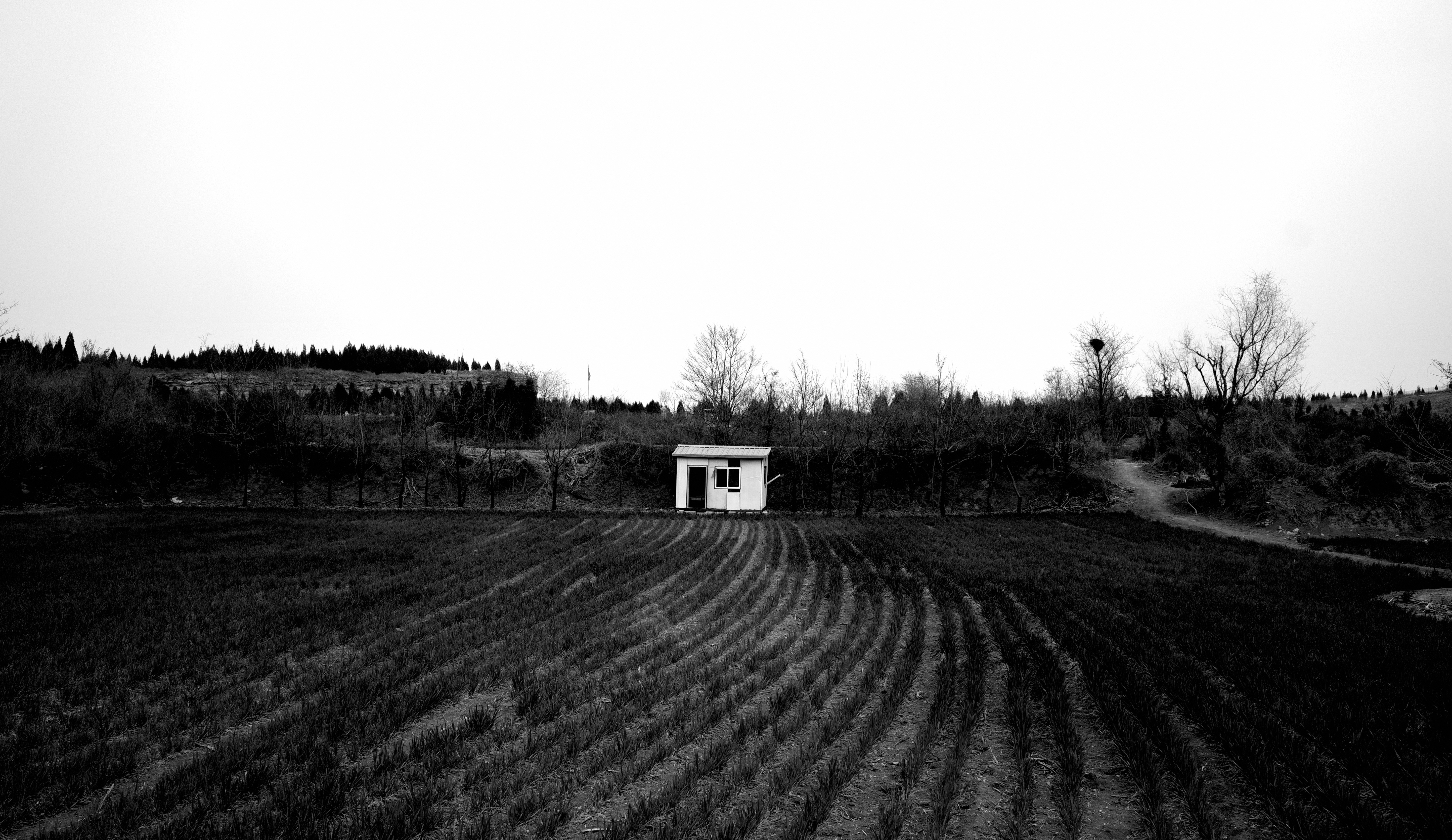 Photo by keyitiaosuqin