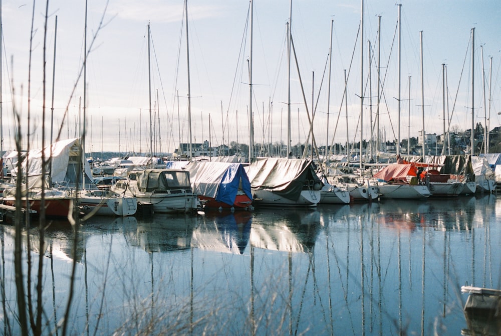 a bunch of boats that are sitting in the water