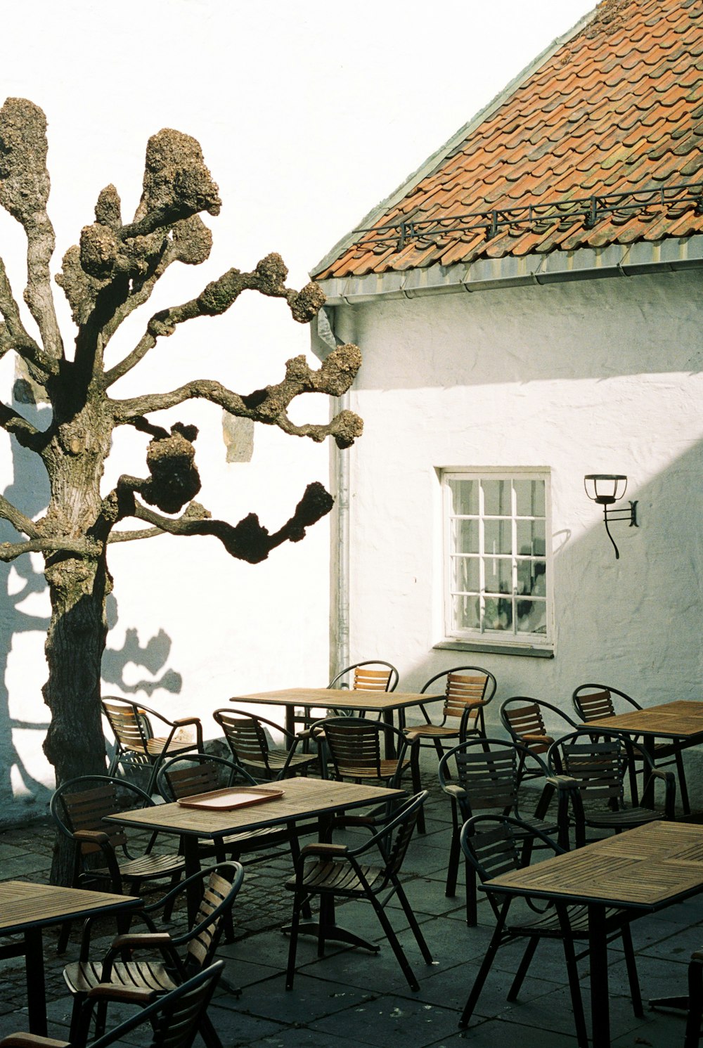 a tree that is next to a building