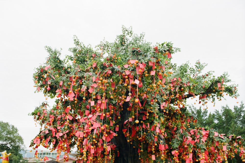 a large tree with red flowers hanging from it's branches