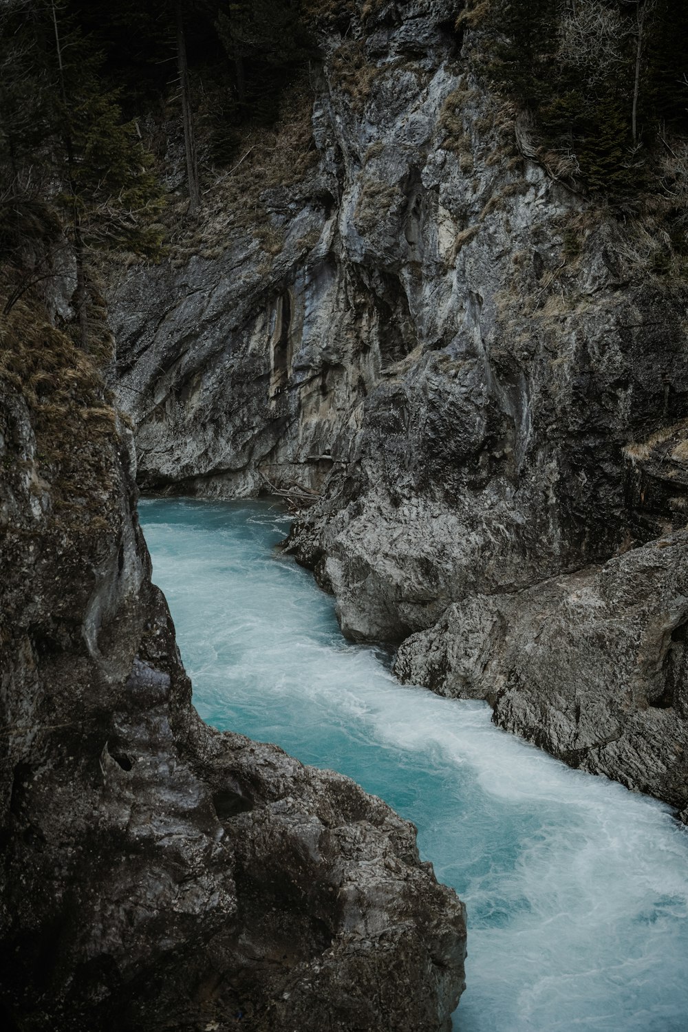 Un fiume che scorre attraverso un canyon roccioso vicino a una foresta