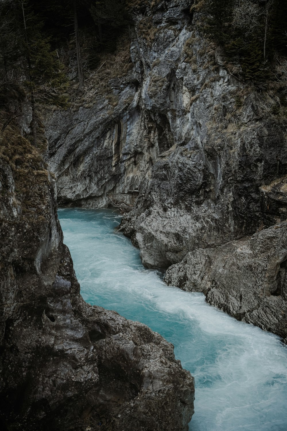 a river flowing through a rocky canyon next to a forest