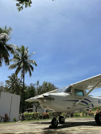 A small airplane is parked on a paved area surrounded by lush greenery. Tall palm trees rise in the background under a clear blue sky, creating a peaceful and tropical atmosphere.
