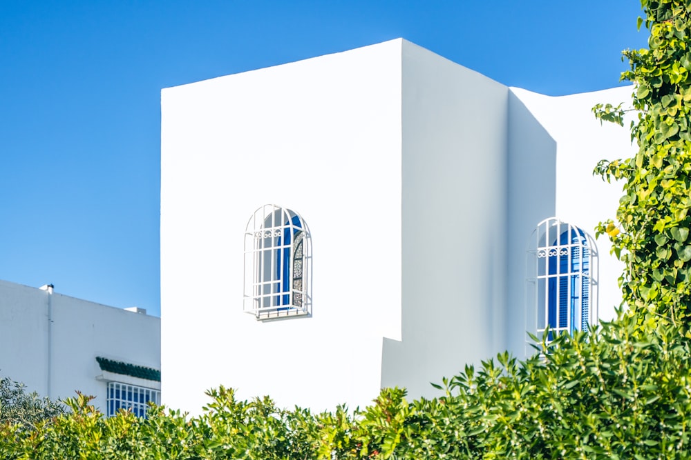 a white building with two windows and a tree in front of it