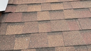 Asphalt Shingles
