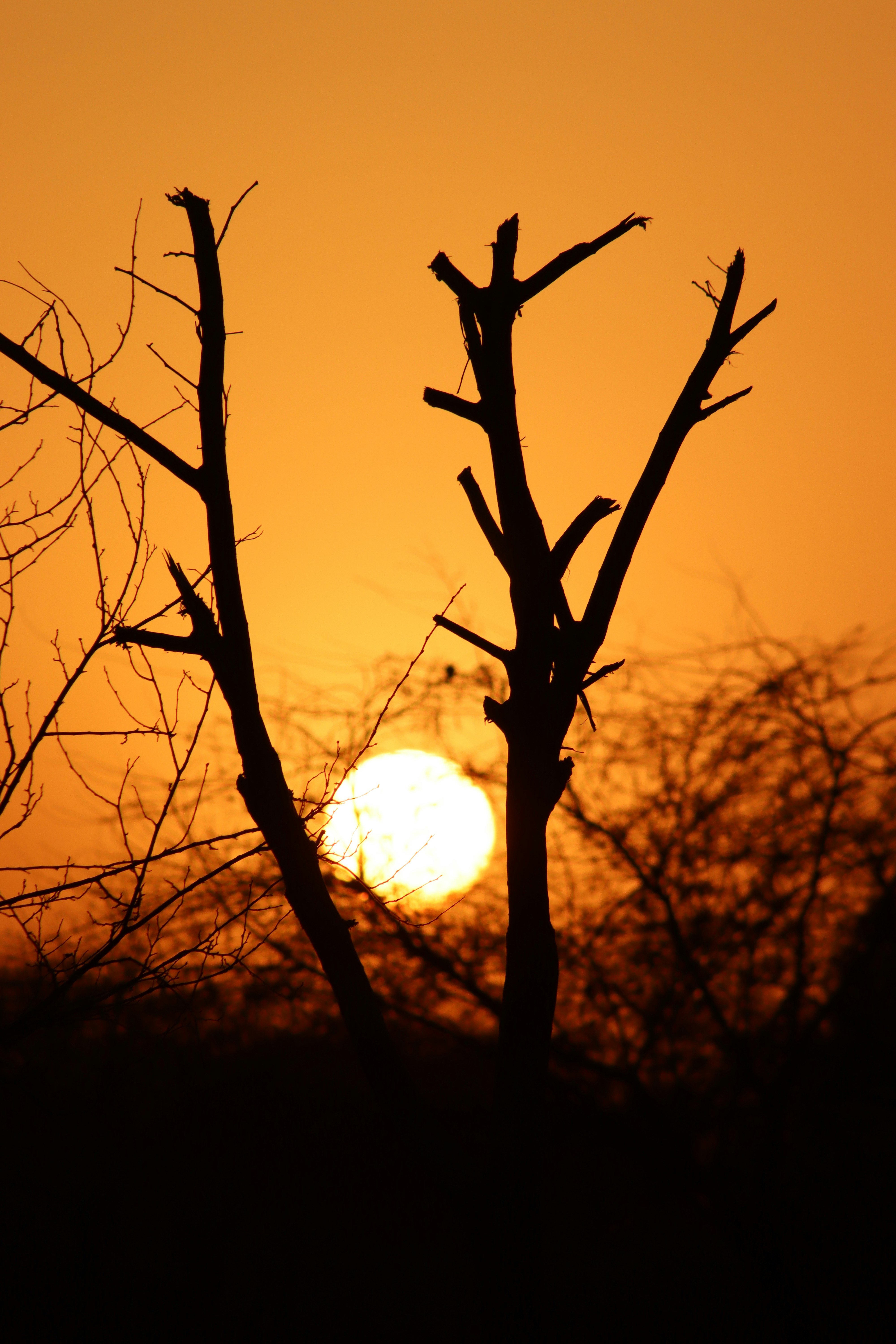 Photo by drphotographer152