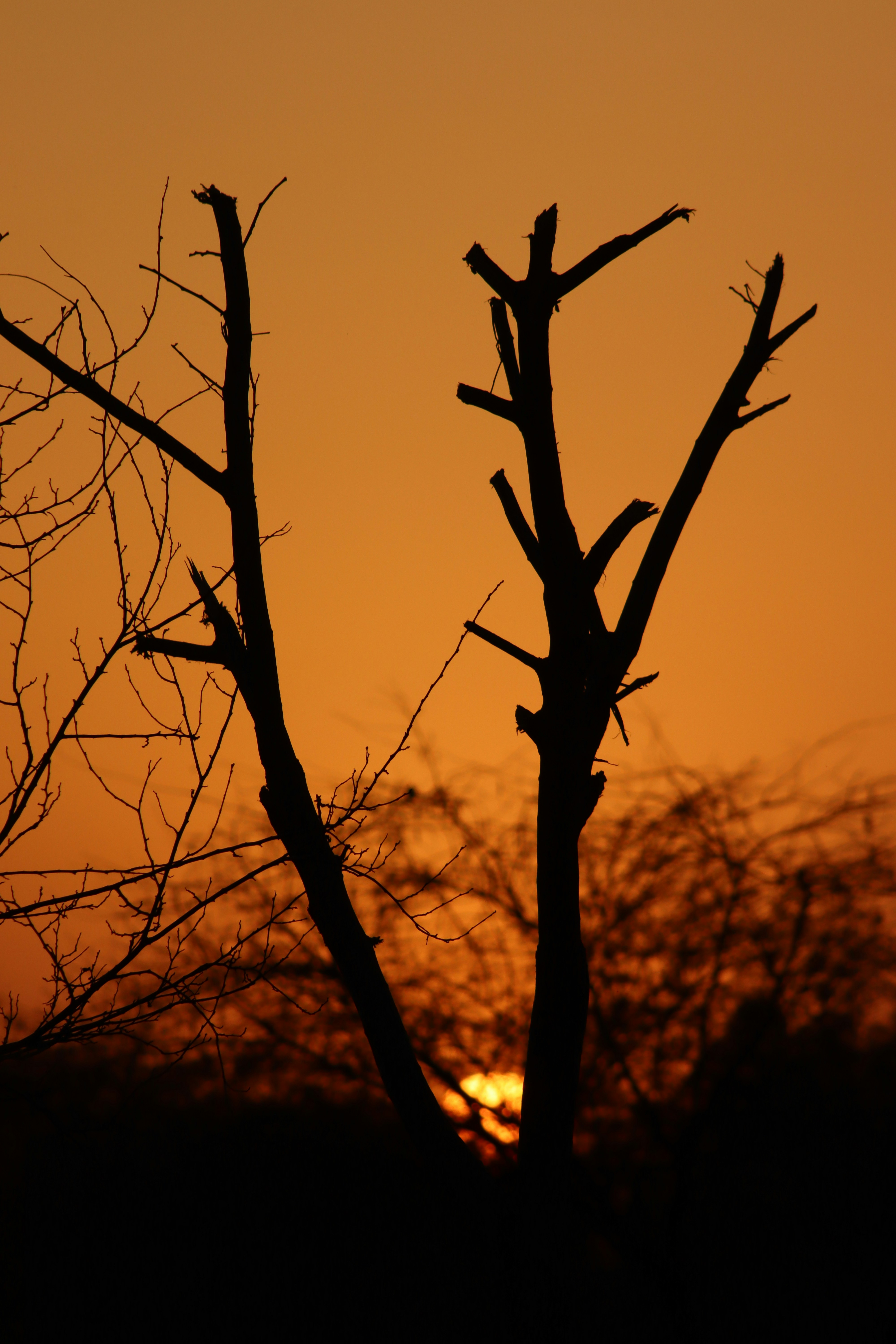 Photo by drphotographer152