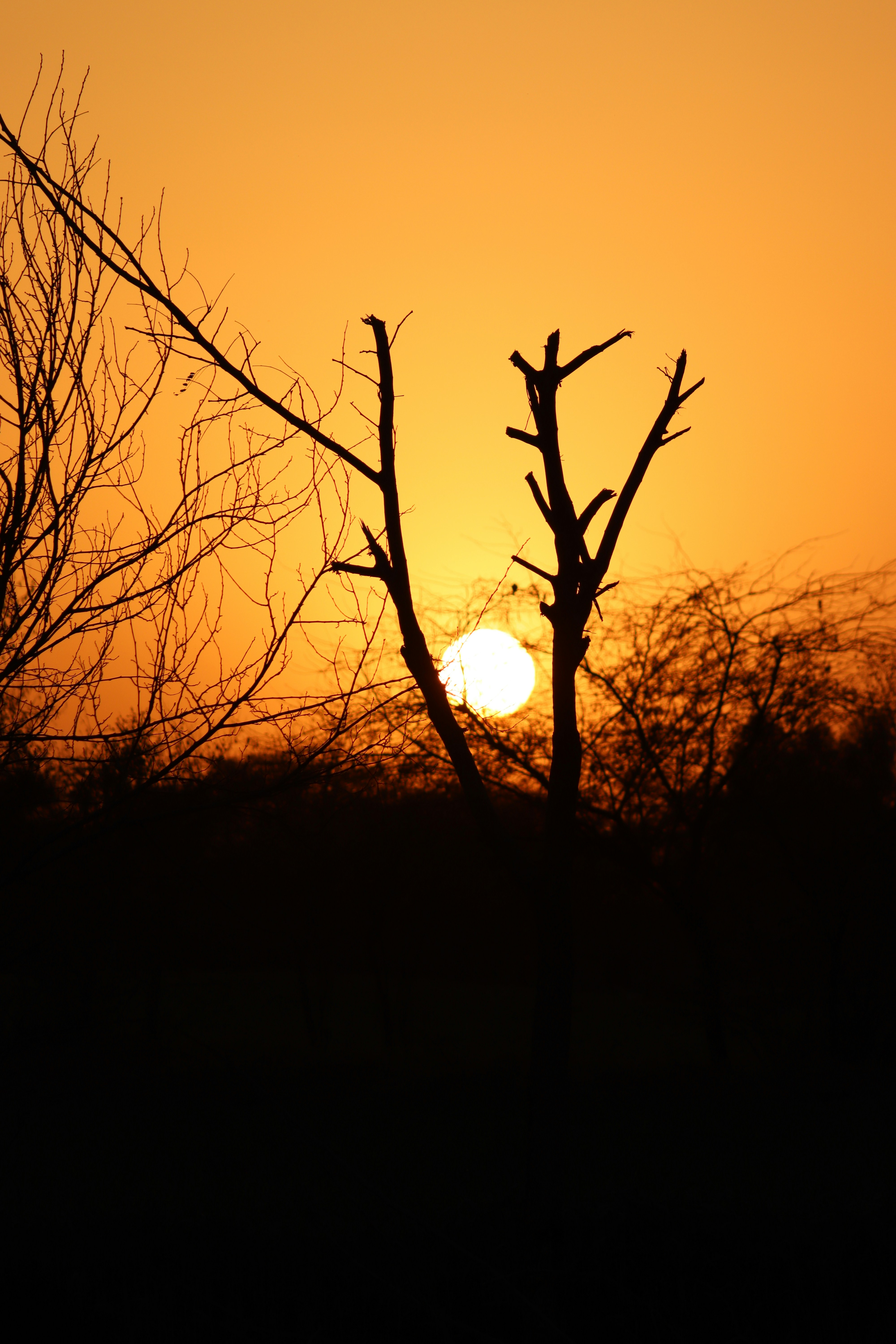 Photo by drphotographer152