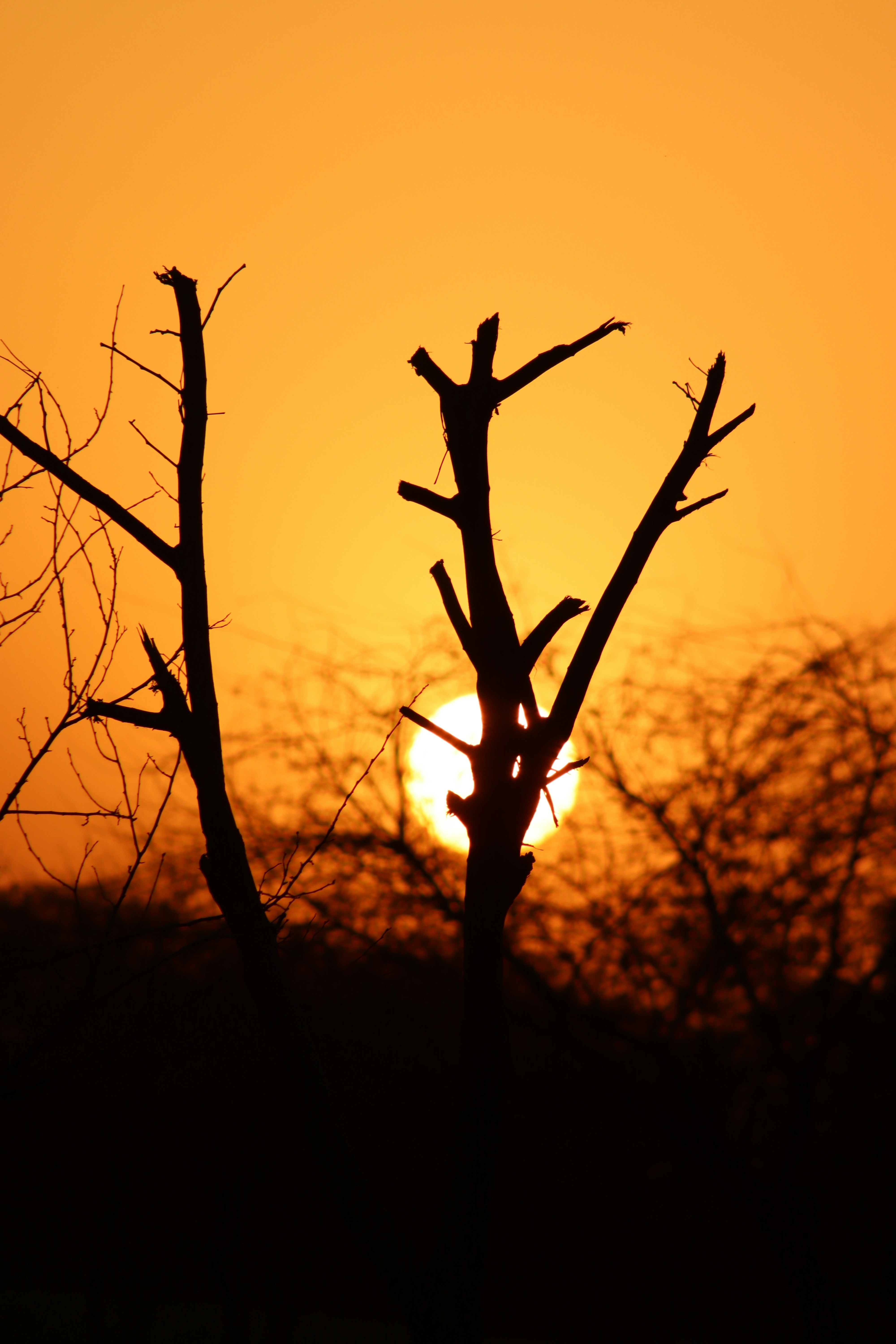 Photo by drphotographer152