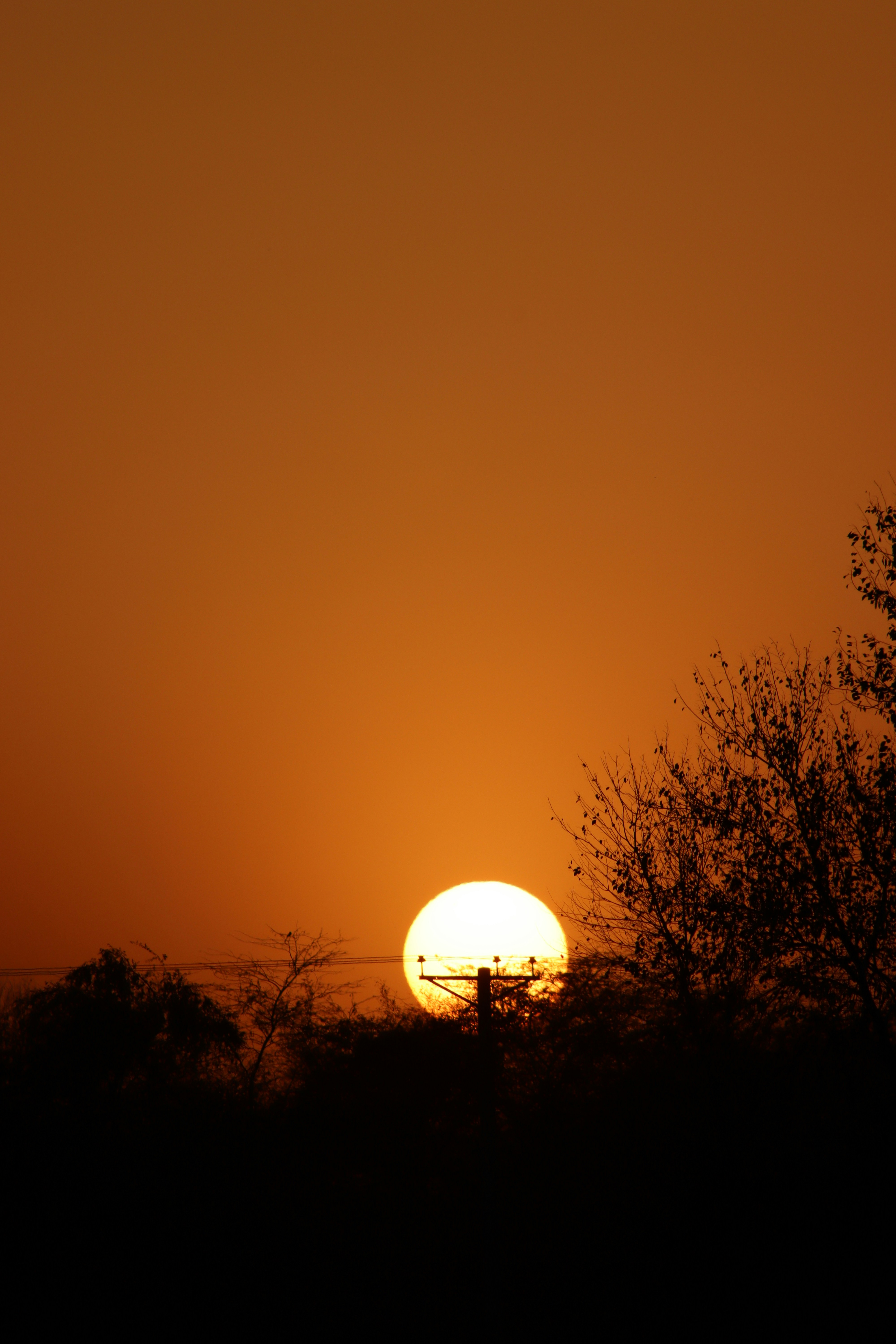 Photo by drphotographer152